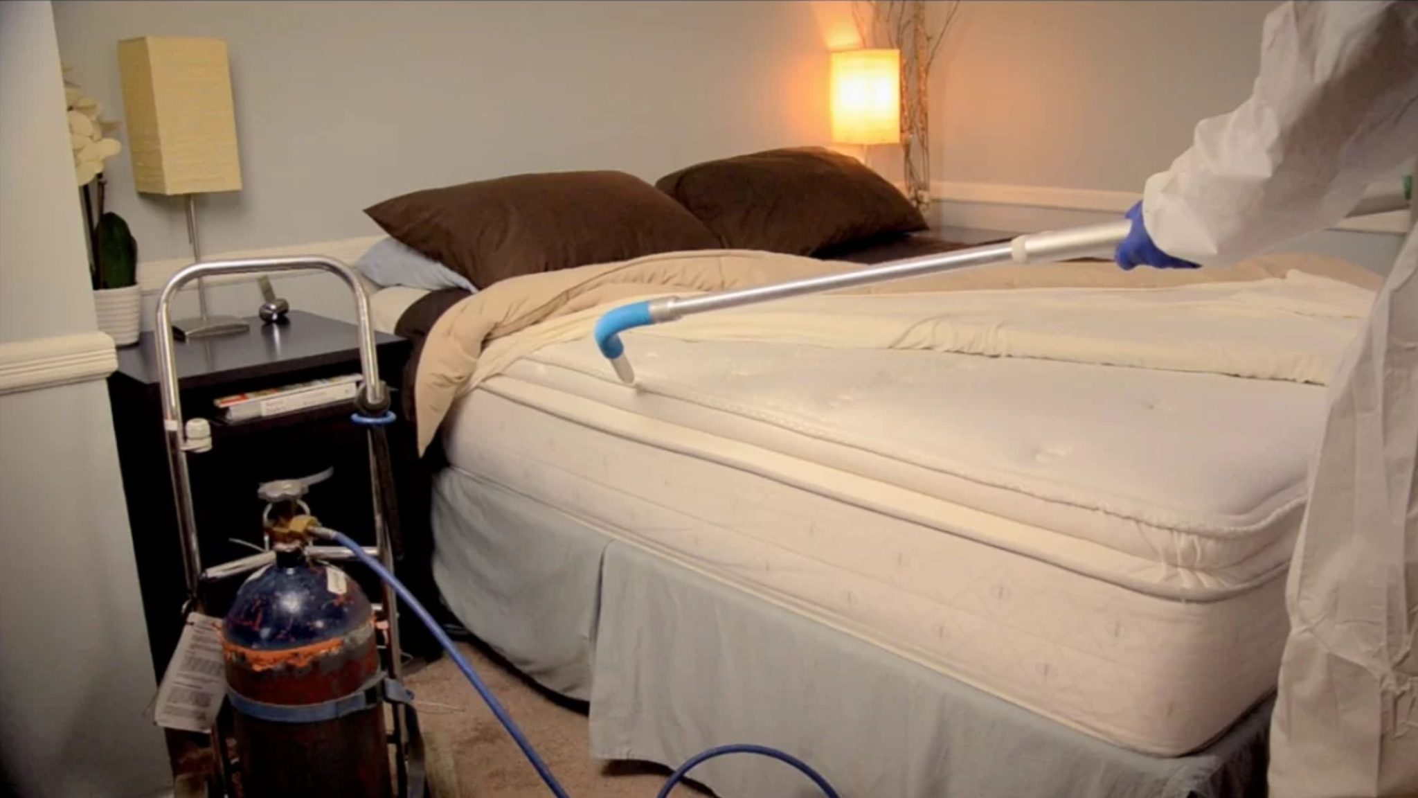 Bedbugs Control - Vetgen